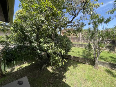IMG_0250 2.JPG