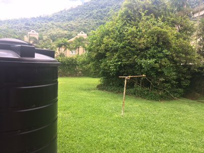 backyard with view of condos over the street.JPG